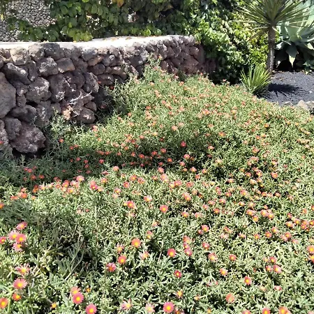 Surfwhitehouse * Lajares