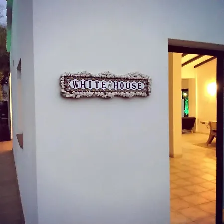 Surfwhitehouse Lajares