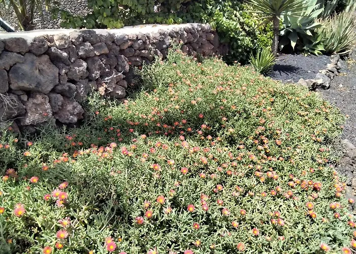 Surfwhitehouse * Lajares