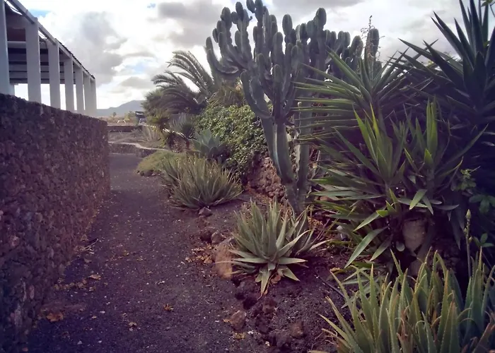 Villa Surfwhitehouse