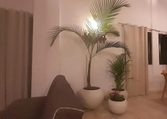 Surfwhitehouse Lajares